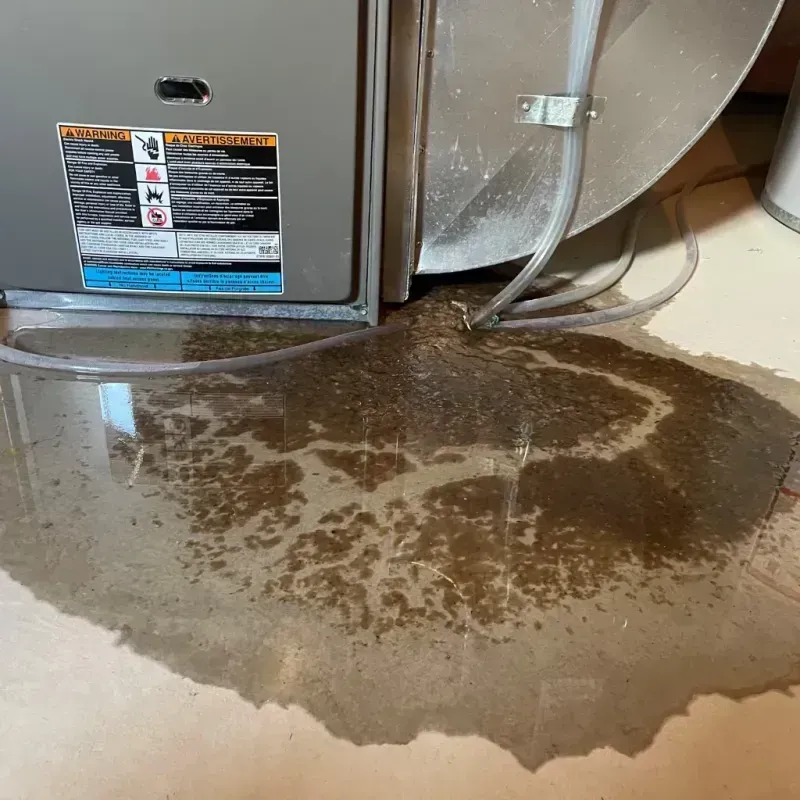 Appliance Leak Cleanup in Bellefonte, DE